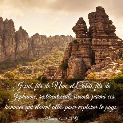 Picture 03 - Nombres 14:38 LSG - Josué, fils de Nun, et Caleb, fils de Jephunné, - Bible Verse Picture
