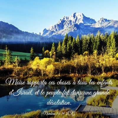 Picture 03 - Nombres 14:39 LSG - Moïse rapporta ces choses à tous les enfants - Bible Verse Picture