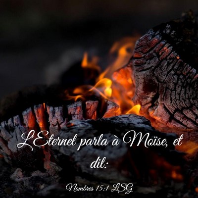 Picture 03 - Nombres 15:1 LSG - L'Eternel parla à Moïse, et - Bible Verse Picture