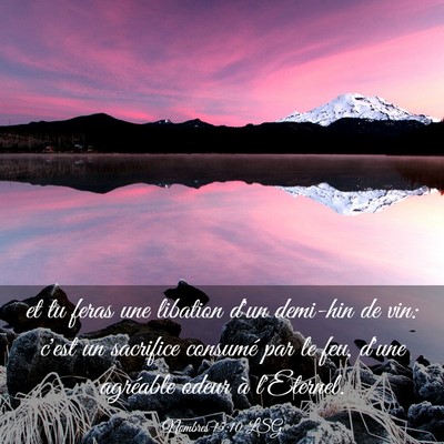 Picture 03 - Nombres 15:10 LSG - et tu feras une libation d'un demi-hin de vin: - Bible Verse Picture