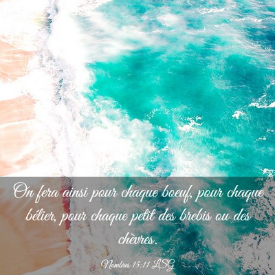 Picture 03 - Nombres 15:11 LSG - On fera ainsi pour chaque boeuf, pour chaque - Bible Verse Picture