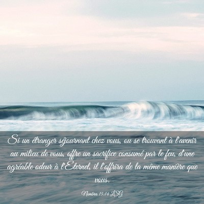 Picture 03 - Nombres 15:14 LSG - Si un étranger séjournant chez vous, ou se - Bible Verse Picture