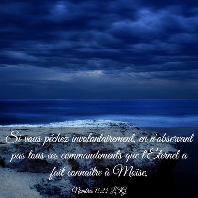 Picture 03 - Nombres 15:22 LSG - Si vous péchez involontairement, en n'observant - Bible Verse Picture