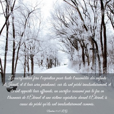 Picture 03 - Nombres 15:25 LSG - Le sacrificateur fera l'expiation pour toute - Bible Verse Picture