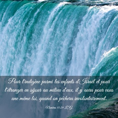 Picture 03 - Nombres 15:29 LSG - Pour l'indigène parmi les enfants d'Israël et - Bible Verse Picture