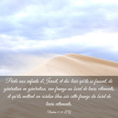Picture 03 - Nombres 15:38 LSG - Parle aux enfants d'Israël, et dis-leur qu'ils - Bible Verse Picture