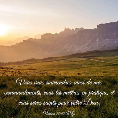 Picture 03 - Nombres 15:40 LSG - Vous vous souviendrez ainsi de mes commandements, - Bible Verse Picture