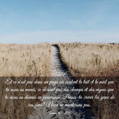 Picture 03 - Nombres 16:14 LSG - Et ce n'est pas dans un pays où coulent le lait - Bible Verse Picture