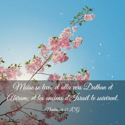 Picture 03 - Nombres 16:25 LSG - Moïse se leva, et alla vers Dathan et Abiram; et - Bible Verse Picture