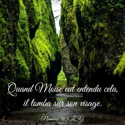 Picture 03 - Nombres 16:4 LSG - Quand Moïse eut entendu cela, il tomba sur son - Bible Verse Picture