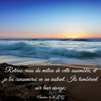 Picture 03 - Nombres 16:45 LSG - Retirez-vous du milieu de cette assemblée, et je - Bible Verse Picture