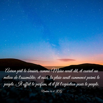 Picture 03 - Nombres 16:47 LSG - Aaron prit le brasier, comme Moïse avait dit, et - Bible Verse Picture