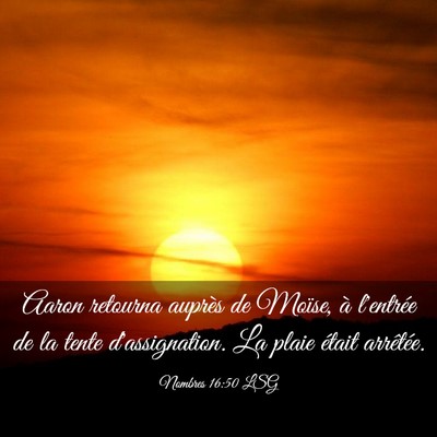 Picture 03 - Nombres 16:50 LSG - Aaron retourna auprès de Moïse, à l'entrée de - Bible Verse Picture