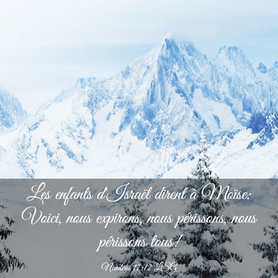 Picture 03 - Nombres 17:12 LSG - Les enfants d'Israël dirent à Moïse: Voici, - Bible Verse Picture