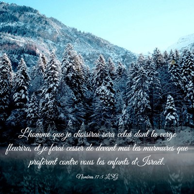 Picture 03 - Nombres 17:5 LSG - L'homme que je choisirai sera celui dont la verge - Bible Verse Picture