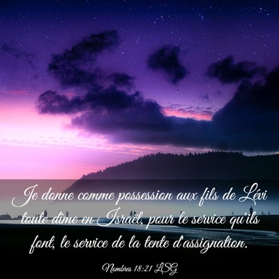 Picture 03 - Nombres 18:21 LSG - Je donne comme possession aux fils de Lévi toute - Bible Verse Picture