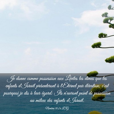 Picture 03 - Nombres 18:24 LSG - Je donne comme possession aux Lévites les dîmes - Bible Verse Picture