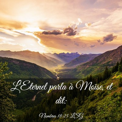 Picture 03 - Nombres 18:25 LSG - L'Eternel parla à Moïse, et - Bible Verse Picture