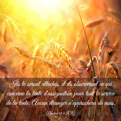 Picture 03 - Nombres 18:4 LSG - Ils te seront attachés, et ils observeront ce - Bible Verse Picture