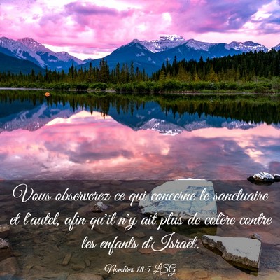 Picture 03 - Nombres 18:5 LSG - Vous observerez ce qui concerne le sanctuaire et - Bible Verse Picture