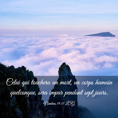 Picture 03 - Nombres 19:11 LSG - Celui qui touchera un mort, un corps humain - Bible Verse Picture