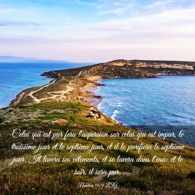 Picture 03 - Nombres 19:19 LSG - Celui qui est pur fera l'aspersion sur celui qui - Bible Verse Picture