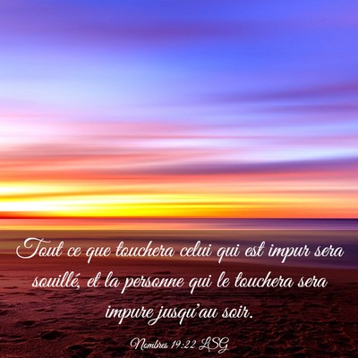 Picture 03 - Nombres 19:22 LSG - Tout ce que touchera celui qui est impur sera - Bible Verse Picture