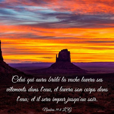 Picture 03 - Nombres 19:8 LSG - Celui qui aura brûlé la vache lavera ses - Bible Verse Picture
