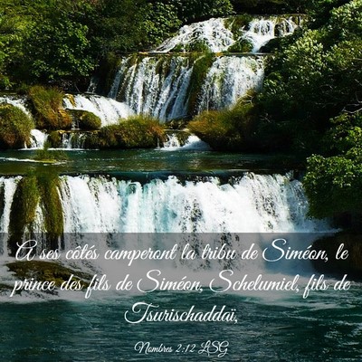 Picture 03 - Nombres 2:12 LSG - A ses côtés camperont la tribu de Siméon, le - Bible Verse Picture