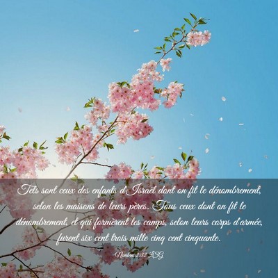 Picture 03 - Nombres 2:32 LSG - Tels sont ceux des enfants d'Israël dont on fit - Bible Verse Picture