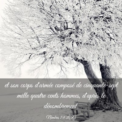 Picture 03 - Nombres 2:8 LSG - et son corps d'armée composé de cinquante-sept - Bible Verse Picture