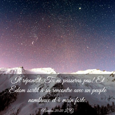 Picture 03 - Nombres 20:20 LSG - Il répondit: Tu ne passeras pas! Et Edom sortit - Bible Verse Picture