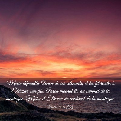 Picture 03 - Nombres 20:28 LSG - Moïse dépouilla Aaron de ses vêtements, et les - Bible Verse Picture