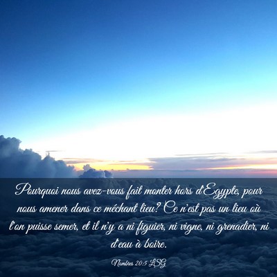Picture 03 - Nombres 20:5 LSG - Pourquoi nous avez-vous fait monter hors - Bible Verse Picture