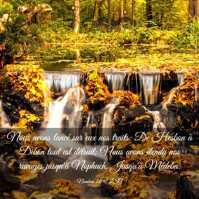 Picture 03 - Nombres 21:30 LSG - Nous avons lancé sur eux nos traits: De Hesbon - Bible Verse Picture