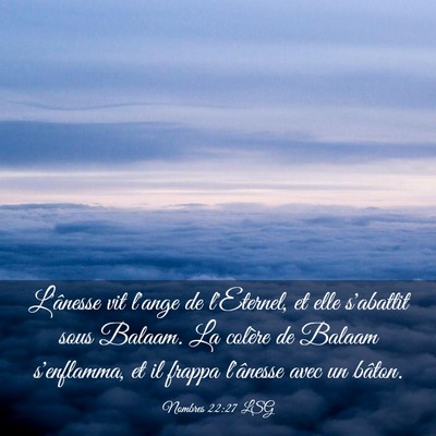 Picture 03 - Nombres 22:27 LSG - L'ânesse vit l'ange de l'Eternel, et elle - Bible Verse Picture