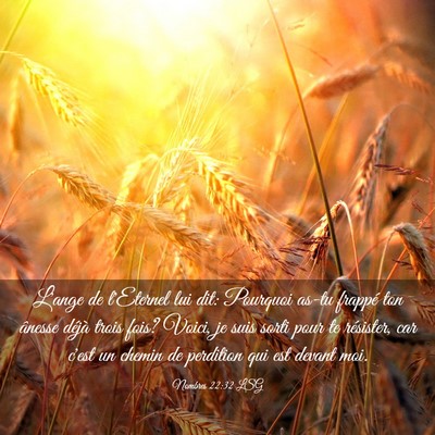 Picture 03 - Nombres 22:32 LSG - L'ange de l'Eternel lui dit: Pourquoi as-tu - Bible Verse Picture