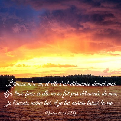 Picture 03 - Nombres 22:33 LSG - L'ânesse m'a vu, et elle s'est détournée - Bible Verse Picture