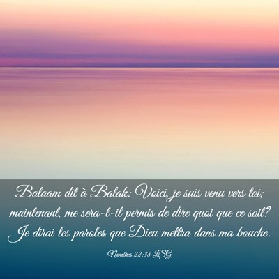 Picture 03 - Nombres 22:38 LSG - Balaam dit à Balak: Voici, je suis venu vers - Bible Verse Picture