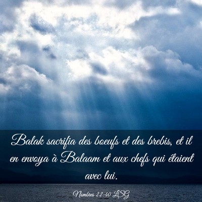 Picture 03 - Nombres 22:40 LSG - Balak sacrifia des boeufs et des brebis, et il en - Bible Verse Picture