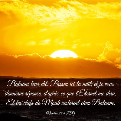 Picture 03 - Nombres 22:8 LSG - Balaam leur dit: Passez ici la nuit, et je vous - Bible Verse Picture