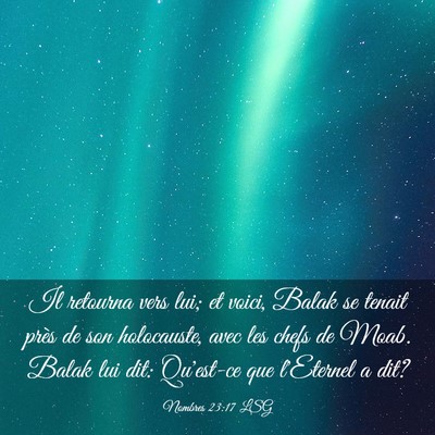 Picture 03 - Nombres 23:17 LSG - Il retourna vers lui; et voici, Balak se tenait - Bible Verse Picture