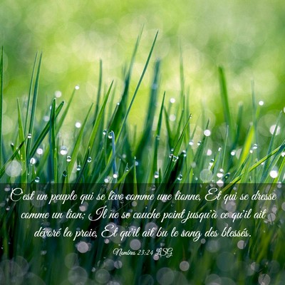 Picture 03 - Nombres 23:24 LSG - C'est un peuple qui se lève comme une lionne, Et - Bible Verse Picture
