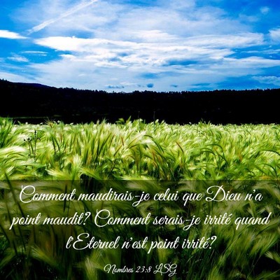 Picture 03 - Nombres 23:8 LSG - Comment maudirais-je celui que Dieu n'a point - Bible Verse Picture