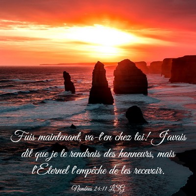 Picture 03 - Nombres 24:11 LSG - Fuis maintenant, va-t'en chez toi! J'avais dit - Bible Verse Picture