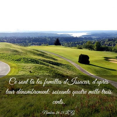 Picture 03 - Nombres 26:25 LSG - Ce sont là les familles d'Issacar, d'après leur - Bible Verse Picture