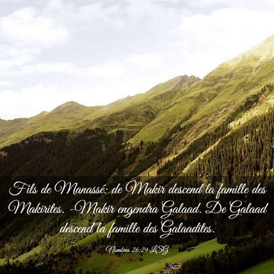 Picture 03 - Nombres 26:29 LSG - Fils de Manassé: de Makir descend la famille des - Bible Verse Picture