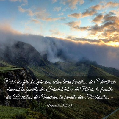 Picture 03 - Nombres 26:35 LSG - Voici les fils d'Ephraïm, selon leurs familles: - Bible Verse Picture