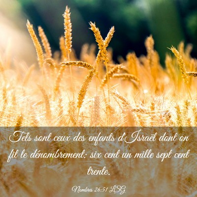 Picture 03 - Nombres 26:51 LSG - Tels sont ceux des enfants d'Israël dont on fit - Bible Verse Picture