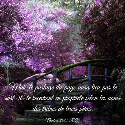 Picture 03 - Nombres 26:55 LSG - Mais le partage du pays aura lieu par le sort; - Bible Verse Picture